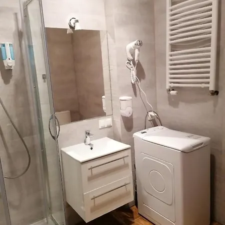 Tulip - Pokój 5 Ze Wspólną łazienką I Kuchnią Apartament
