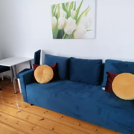 Tulip - Pokój 5 Ze Wspólną łazienką I Kuchnią *